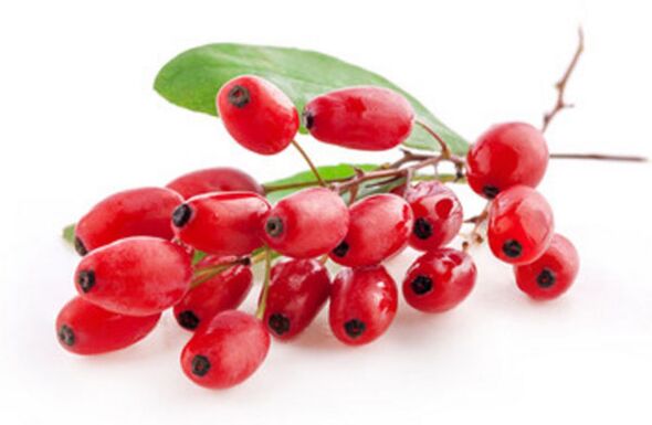 barberry fruit to avoid alcohol